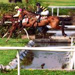 A tomuhle se říká malá voda...