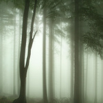 Pro stromy není vidět les - shit, viz. komentář