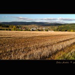 Českou krajinou II.