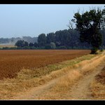 footpath za nasi vesnickou