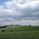 Dnes je tam strniště.