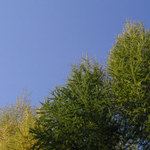 Přišel podzim, vybarvi se jak umíš