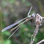 Těsně po "přistání"