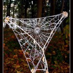 kalhotky pro lesní pannu