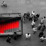 :::: D O M U U U U :::