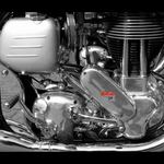 ... Norton ...