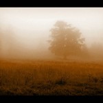 mlžný experiment :-)