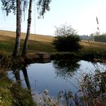 Jezírko s houpačkou