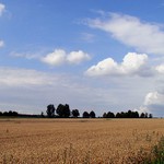 Letné línie