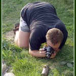 Žeby saranče pro PhotoPOST ?