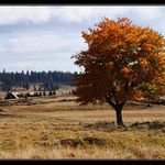 Podzim 2003 - Prebuz