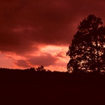 Čerti se žení... II.