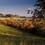 Vesničko má středisková II. - stíny