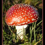 ...a pak že nerostou...