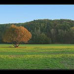 V podzimním odpoledni...