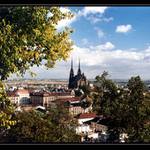 Petrov zo Špílbergu