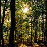 <b>PODVEČERNÍ...</b>