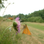 Střídání u pohárku.