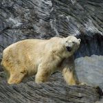 Hmmm, copak to máme dneska dobrého?