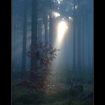 Vytoužené sluneční pohlazení