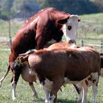 Holky s holkama (Reportáž)