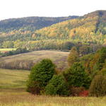 Časně ráno u Hukvaldské obory