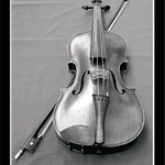 <b>Daliborův vercajk</b>