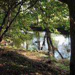 Courání kolem Svratky