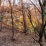 Pozdní odpoledne v Prokopském údolí