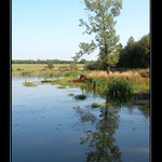 Rybník Stinka