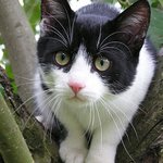 Čím to na mě míří ?