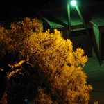 Půlnoční zátiší