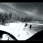 Slowinsky Park Narodowy