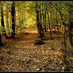 Teplá jeseň v Košiciach