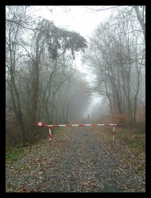 Zákázaná cesta