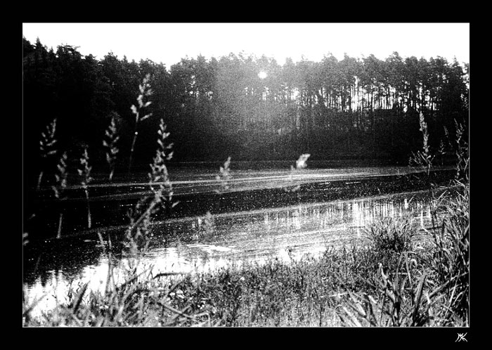Výrov