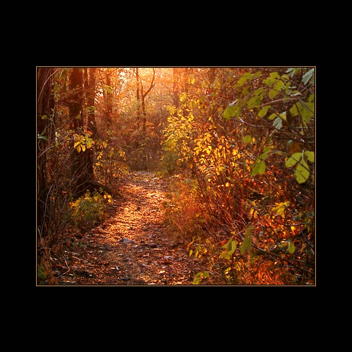 <b>Výlet na Bořeň III.</b>