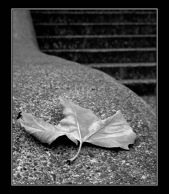 Podzimni pozdrav z Kanady