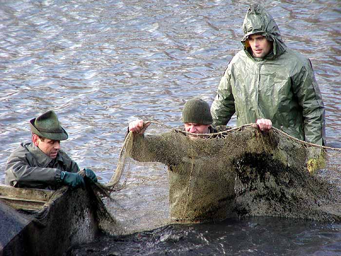 Výlov ve Vrchoticích