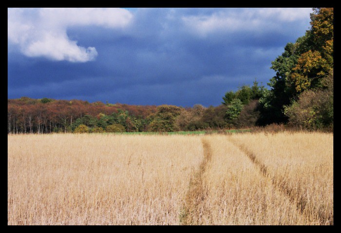 Česká krajina