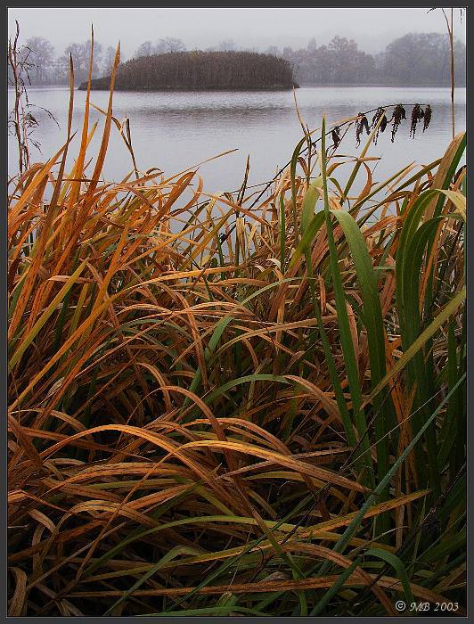 u rybníka