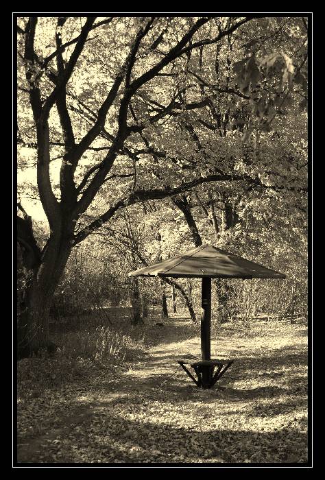 meeting point
