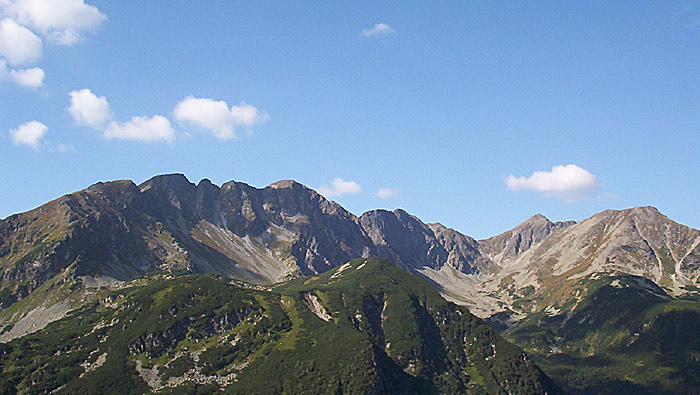 Roháče