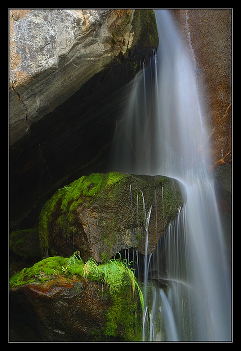Dva kameny s mechem ( Yosemite )