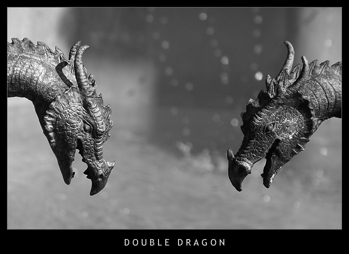 Double Dragon