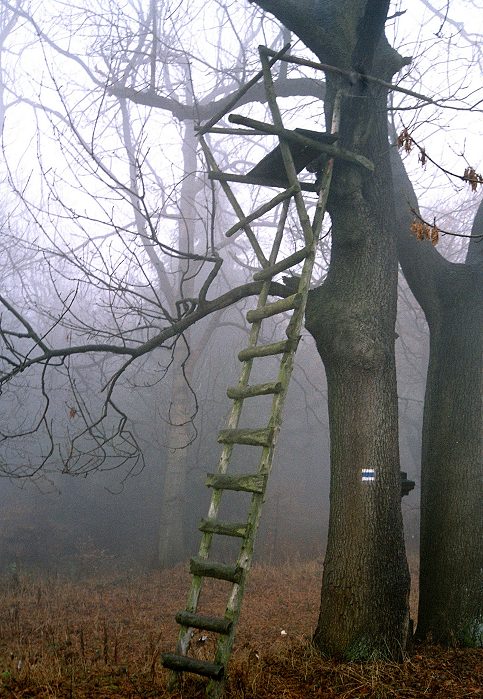 Posedové mlhavo