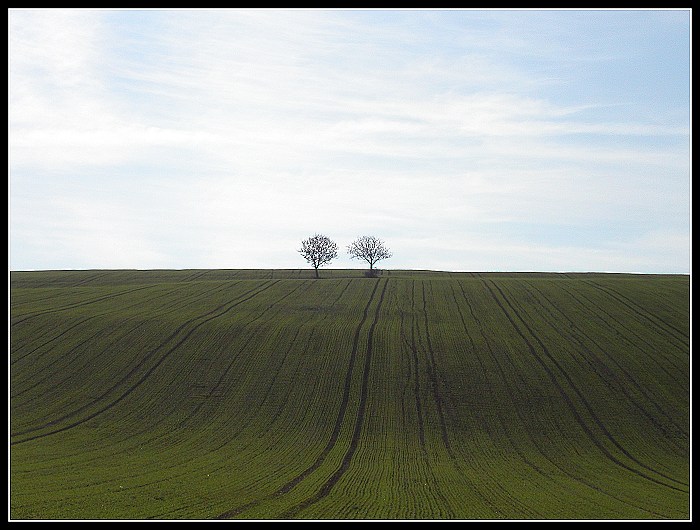 Dvojičky