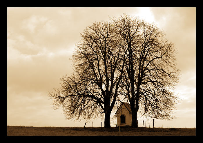 <b>* Bohapusté litanie astmatika *</b>