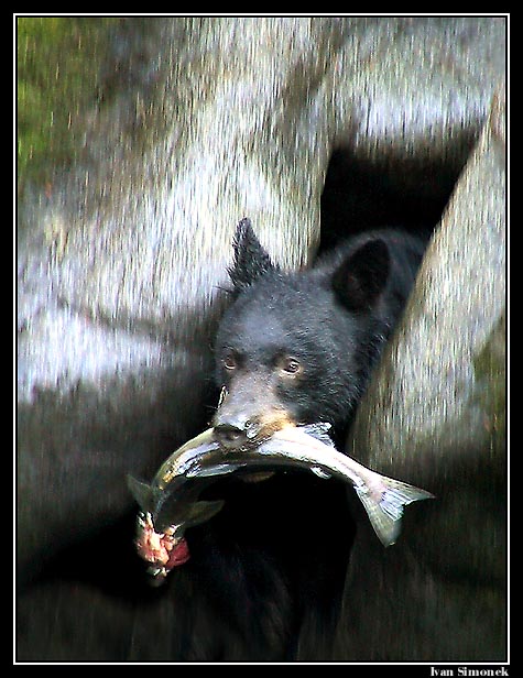 A co ted???