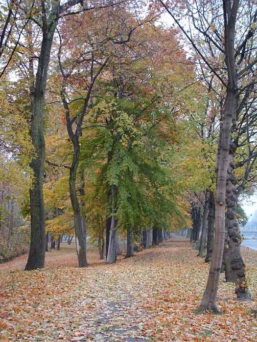 PODZIM